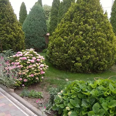 Apartment В Гостях У Сказки Odesa